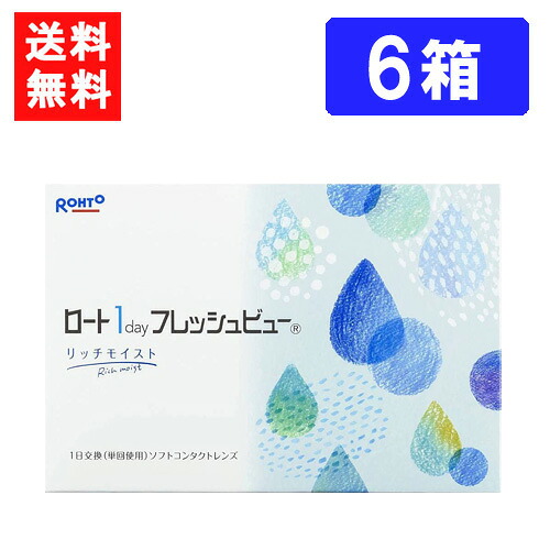 ロート ワンデーフレッシュビュー リッチモイスト 90枚入 ×8箱 貨物輸送無料 RHOTO 1DAY フレッシュビュー
