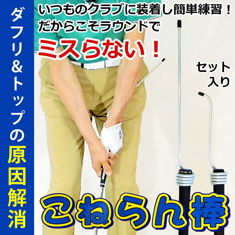 楽天市場】TABATA タバタ フォームアップボール GV-0306【飛距離】【室内】 : ワールドゴルフ