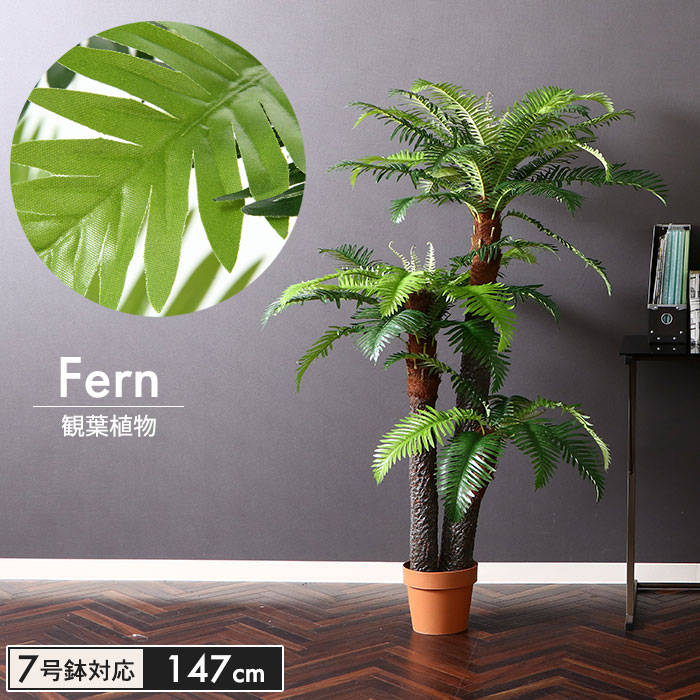 楽天市場】【在庫処分/セール】観葉植物 フェイク 大型 フェイク