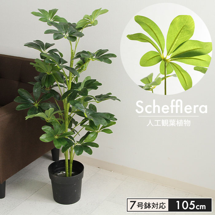 楽天市場】【在庫処分/セール】観葉植物 フェイク 大型 フェイク