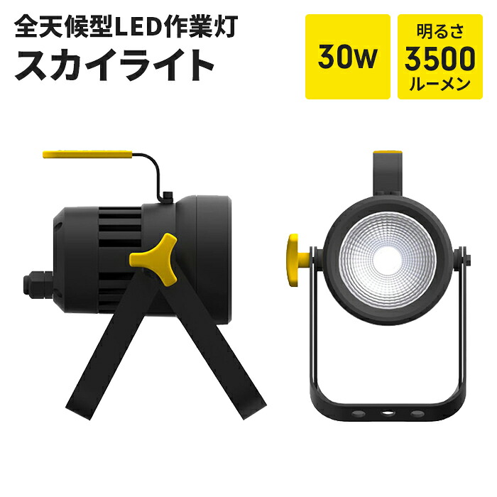 【切り詰め】細工物ともし火 差し込み式 御役目灯 投光照明器 LED ともし火 30W 1灯 IP65 防雨 一こま 制作室 バス発着場 車宿り