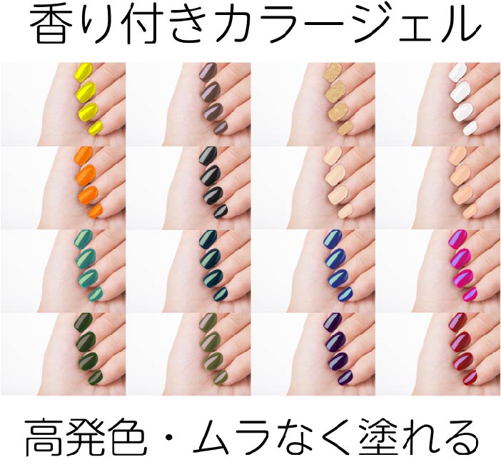 25色セット カラージェル Letizia レティジア ジェルネイル ボトル ネイリストmika ネイリストみか 国産 ローズの香り 高発色 高品質 14g Painfreepainrelief Com