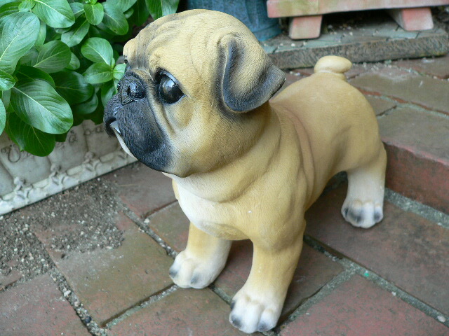 楽天市場】犬の置物 バセットハウンド 3792-00 いぬ イヌ 動物