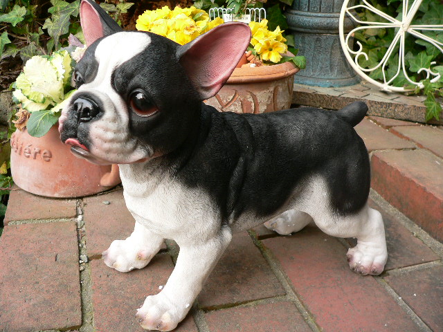 楽天市場】送料無料 犬の置物 フレンチブルドッグ N13886 黒