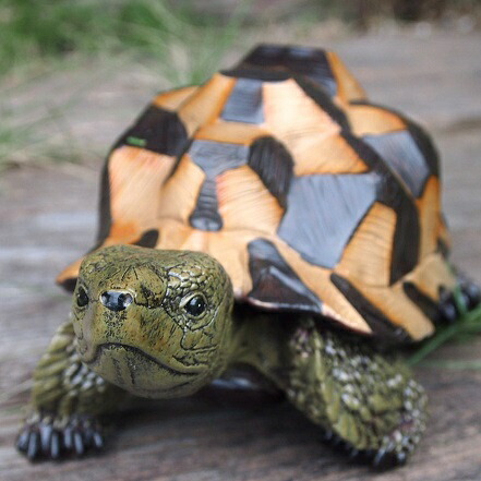 亀　置物 親子　カメ imgrc0087815389.jpg