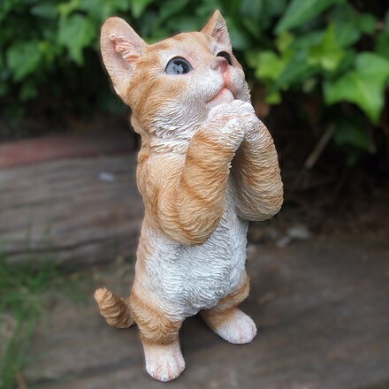 楽天市場】【在庫限り】 ノーティー ネコ SAKURA 4006926-02 サイズ