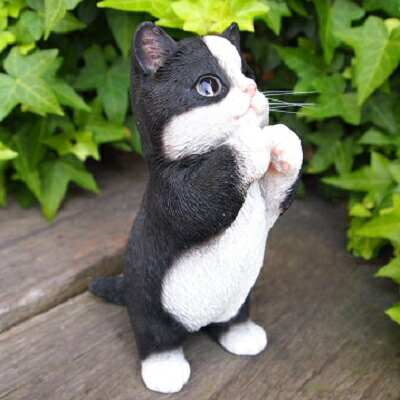 楽天市場】猫の置物 子猫のお願い サバシロ 31341HH キャット