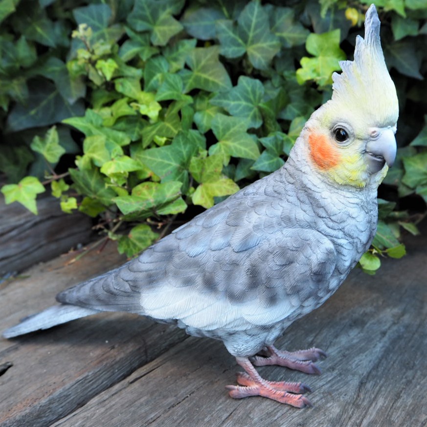 楽天市場】小鳥の置物 オウムの置物 L赤 7589H インコ