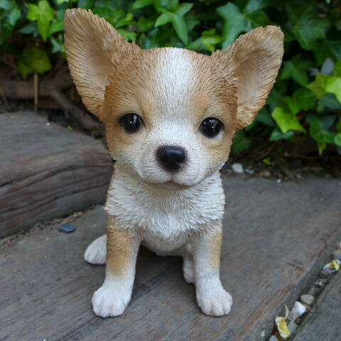 楽天市場】犬の置物 チワワ ティーカップドッグ Aタイプ ワンちゃん