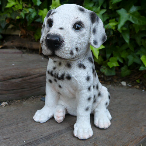 Y★★620 メイヤー ダルメシアン置物 PIT THE MASSIVE DOG Y620 メイヤー ダルメシアン置物 PIT THE MASSIVE DOG - メルカリ