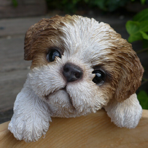 楽天市場】犬の置物 シーズー シンウエルカムボード ドッグ ワンちゃん