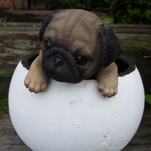 1/6 パグ Pug 犬 「おやすみモード」 うつ伏せ 仰向け 2種 ＆ ベッド bezipang_wf-w001699523