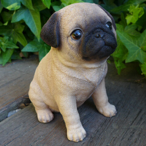 楽天市場】犬 パグ 子犬 フク君置物 かわいい置物 犬の置物 お庭や玄関
