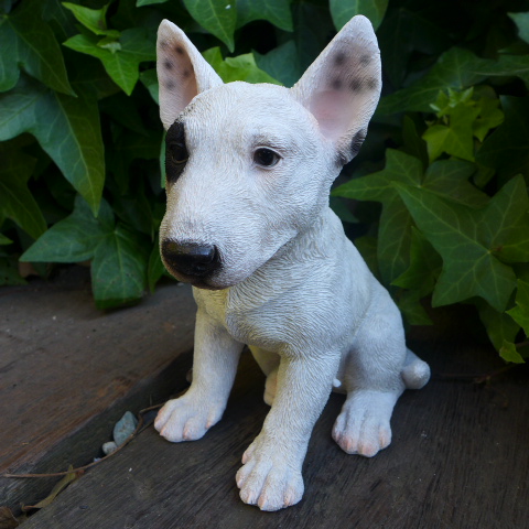楽天市場】ブルテリア 白い犬 黒ブチ置物 かわいい置物 犬の置物リアル