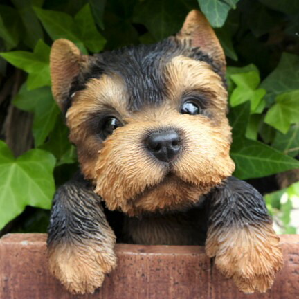 楽天市場 犬の置物 ヨークシャテリア ハンギングドッグ ｔ１４２０６ いぬ イヌ 動物 オーナメント ガーデン オブジェ 庭 リアル ガーデニング インテリア 雑貨 マスコット わくわくガーデン