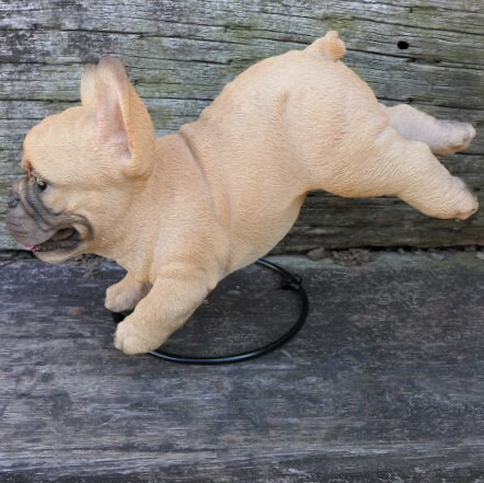 洋犬の粧飾 フレンチブルドッグ 降下 回し者 飼い犬 4つ脚 化粧 苑地 具足 雑貨 置物 苑 ガーデンマスコット 雑貨小物 ディスプレィ チャイナ 実際的 Hotjobsafrica Org