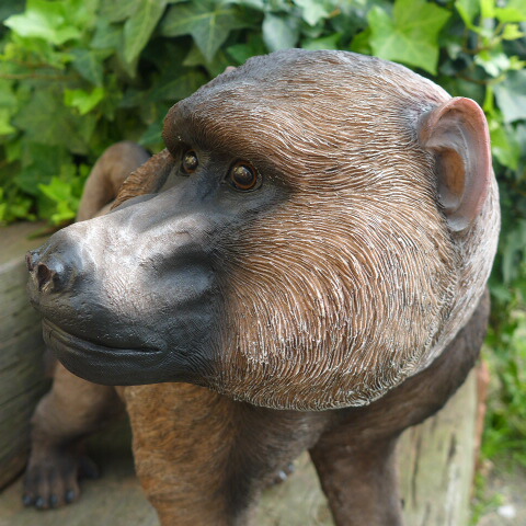 ヒヒの置物 アヌビスヒヒ ドクエラヒヒ猿 動物 置物 玄関 オブジェ ガーデン オーナメント ガーデニング ガーデンオブジェ アニマル リアル 庭 1stfitness Az