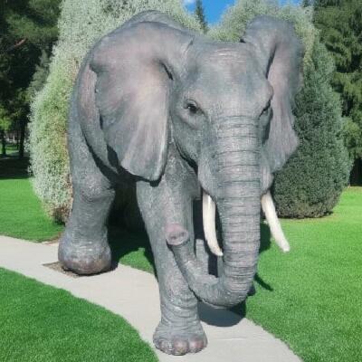楽天市場】象 置物 リアルな 仔ゾウのオブジェ ぞう 動物オーナメント