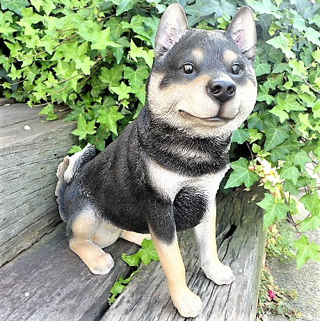 楽天市場】犬の置物 バセットハウンド 3792-00 いぬ イヌ 動物