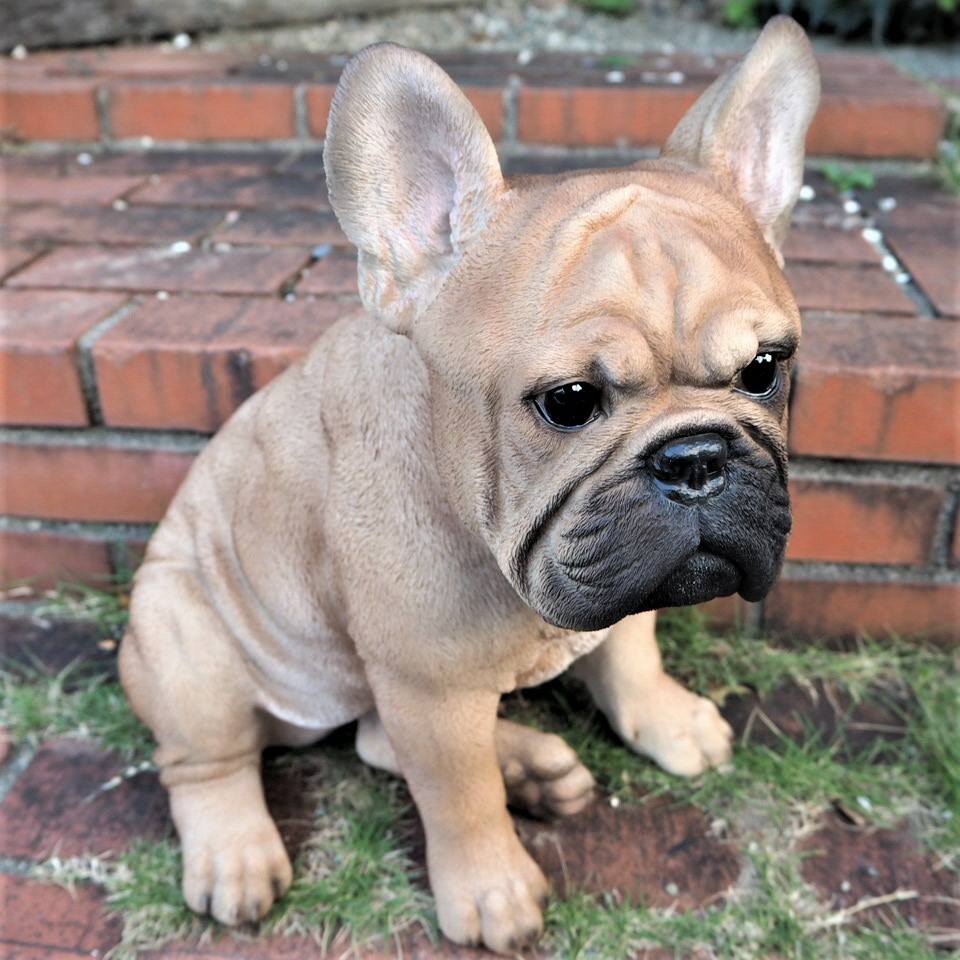 楽天市場】犬の置物 バセットハウンド 3792-00 いぬ イヌ 動物