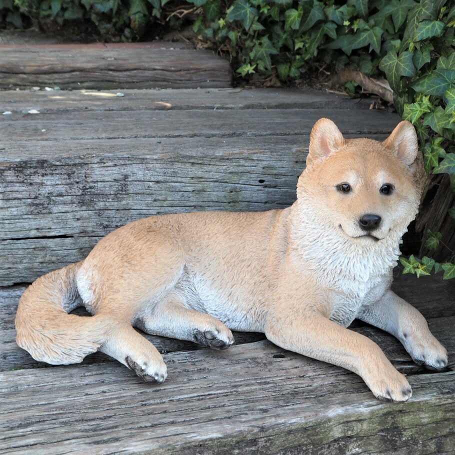 楽天市場】【お買い物マラソン・送料無料・ポイント10倍】置物 犬 柴犬
