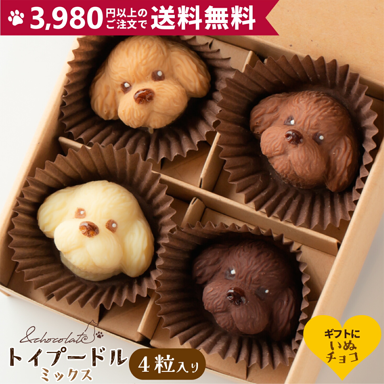楽天市場】【いぬチョコ トイプードル(アプリコット)】 プードル