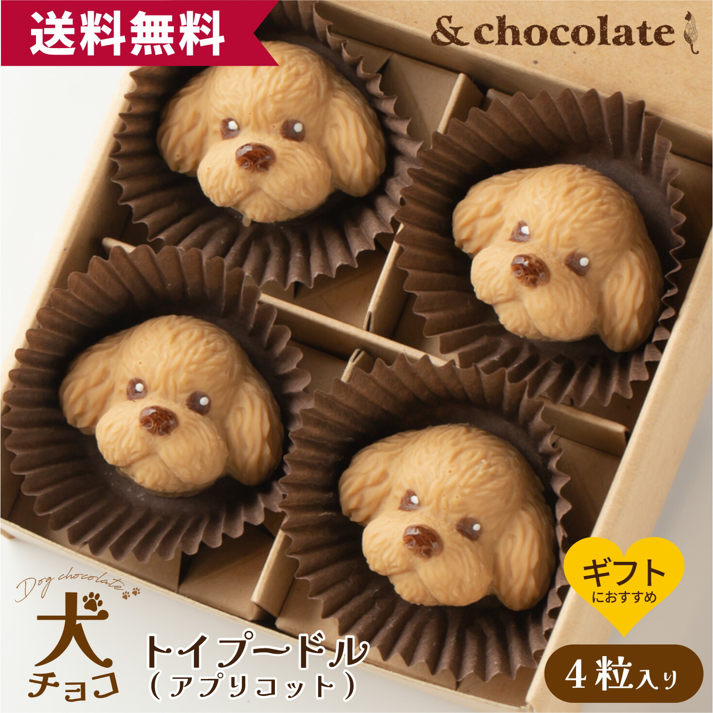 楽天市場】【いぬチョコ トイプードル(レッド)】 プードル