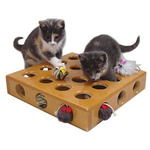 楽天市場 Smartcat 猫用 おもちゃパズルボックス Peek A Prize Pet Toy Box ワールドセレクトショップ