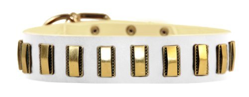 Dean & Tyler Brass Line Leather Dog Collar with Solid Brass Plates 22 by 1-1/2-Inch Fits 20 to 24-