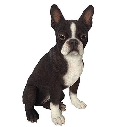 豆の町テリア（Boston Terrier） 犬の飾りつけ・オブジェ