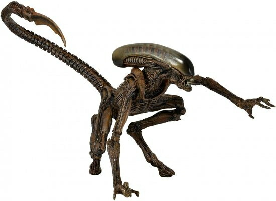 正規品　NECA ネカ　エイリアンズ　ALIENS フィギュア 71U80wLY1LL._UF350,350_QL50_.jpg