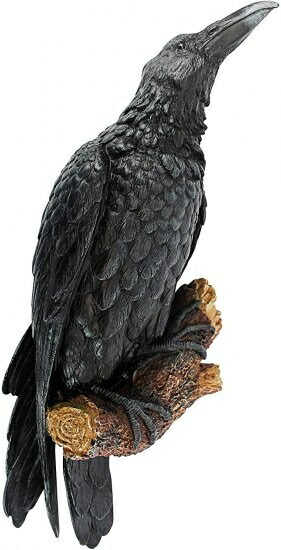 止まり木に止まるカラス 壁掛け彫刻 鳥自然オブジェ 彫像 Design Toscano The Raven's Perch Wall Sculp