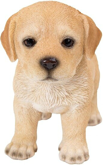 Pacific Giftware 本物そっくり ラブラドール子犬 立っている樹脂フィギュア フィギュア｜ワールドセレクトショップ