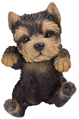 Pacific Giftware PT 本物そっくり ハンギング像 ポット PAL ヨークシャーの子犬 家の装飾用樹脂置物 12,920円