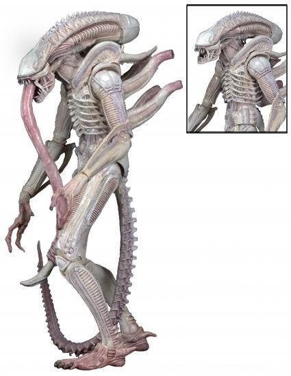 ネカ エイリアン 7インチ アクションフィギュア シリーズ9 アルビノ・エイリアン / NECA ALIEN XENOMORPH (ALBINO DRONE)
