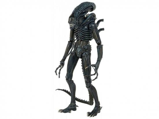 楽天市場】NECA ネカ エイリアン Xenomorph ゼノモーフ ブラック