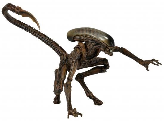 ネカ エイリアン 7インチ アクションフィギュア シリーズ8 ドッグエイリアン (ブラウンカラー ver.) / NECA ALIEN 3 DOG ALIEN｜ワールドセレクトショップ