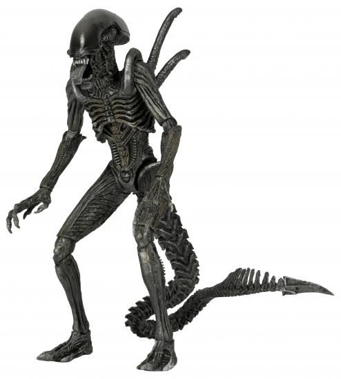 楽天市場】◇訳あり◇ NECA ネカ AVP2 エイリアン vs プレデター