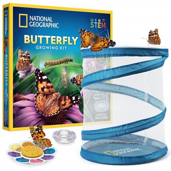 National Geographic ナショナルジオグラフィック バタフライ グローイング キット - 蝶の生息地キット（幼虫 5 匹と引き換え可能なバウチャー付き、送料・