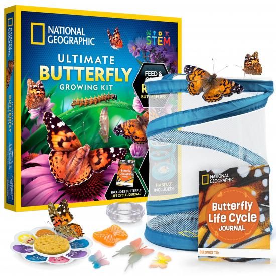 National Geographic ナショナルジオグラフィック 窮まりの蝶育みそだてる一揃いの道具 ? 御出なされる地を作り、仔虫のそだち上るを見ることしよう。生きた仔虫の引き換え証、伏せ篭、フィーダ おもちゃ-知育玩具・学習玩具