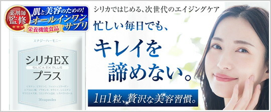 楽天市場】マクファーレントイズ MUSICシリーズ/ジミ・ヘンドリックス