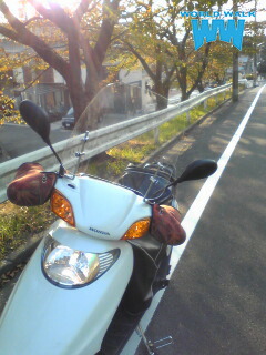 スペイシー100 spacy1.jpg