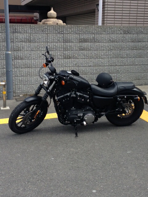 楽天市場】国産 送料無料 ハーレー スポーツスター用 XL883シリーズ