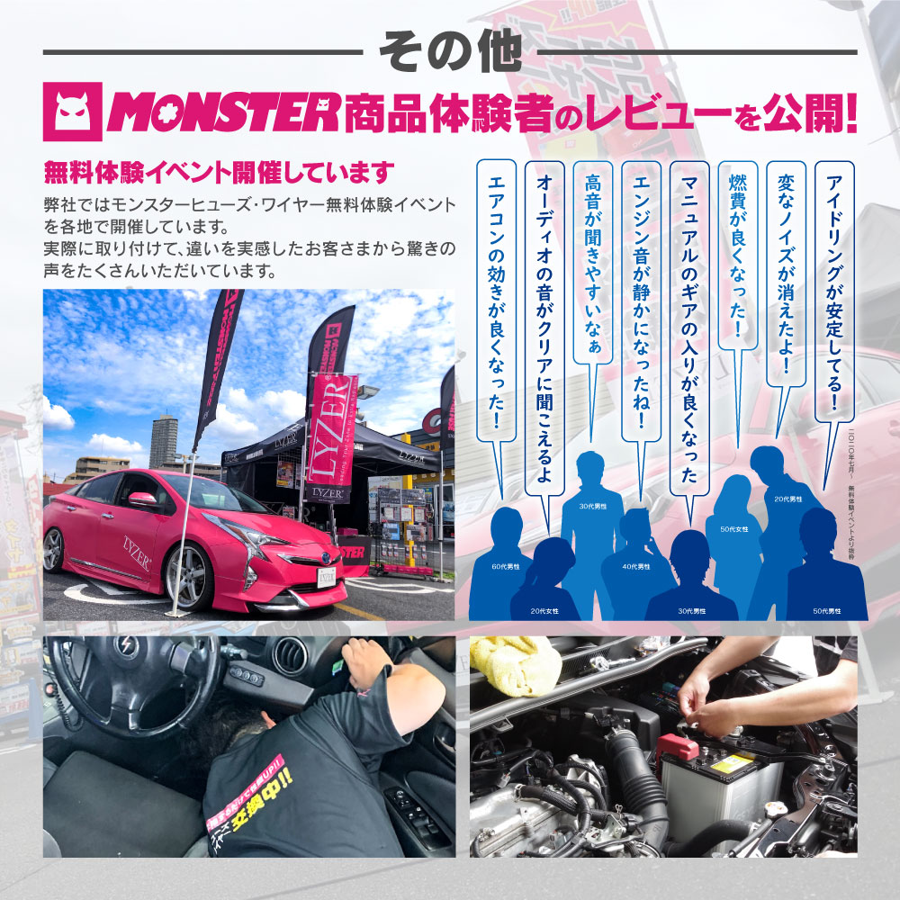 全品送料0円 Lyzer製 Monster Fuse フレアクロスオーバー Ms31s 専用 オーディオ系 ヒューズ フューズ 平型 Scletzi Ch