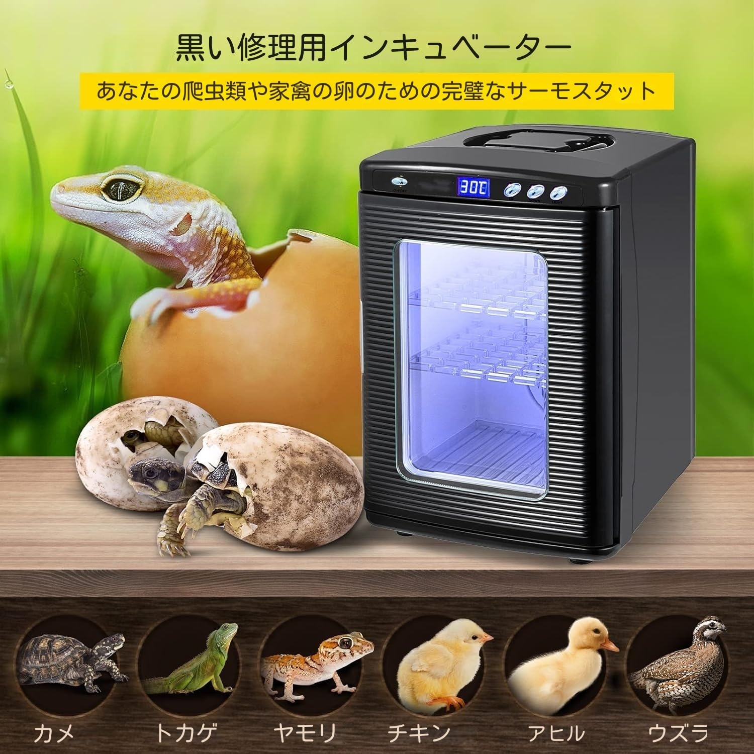 ハ虫類恒温器 自動小銃孵化器 孵す器30-40枚入卵AC110V/DC12V ハ虫類・両棲類繁殖ボックス席 5～60°合わせる 赤ちゃん仕立て上げる用 身寄り用 ハ虫類の卵を人工孵す現実化御盆2つ付き添い人(1大1中) カメ/長蛇/蜥蜴/カメレオン/虫けらなどに当て嵌める