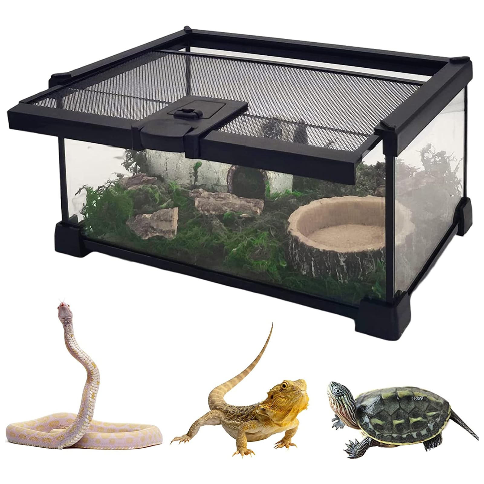 楽天市場】トカゲ ケージ 爬虫類 ケージ 飼育ケース 温度湿度計付き