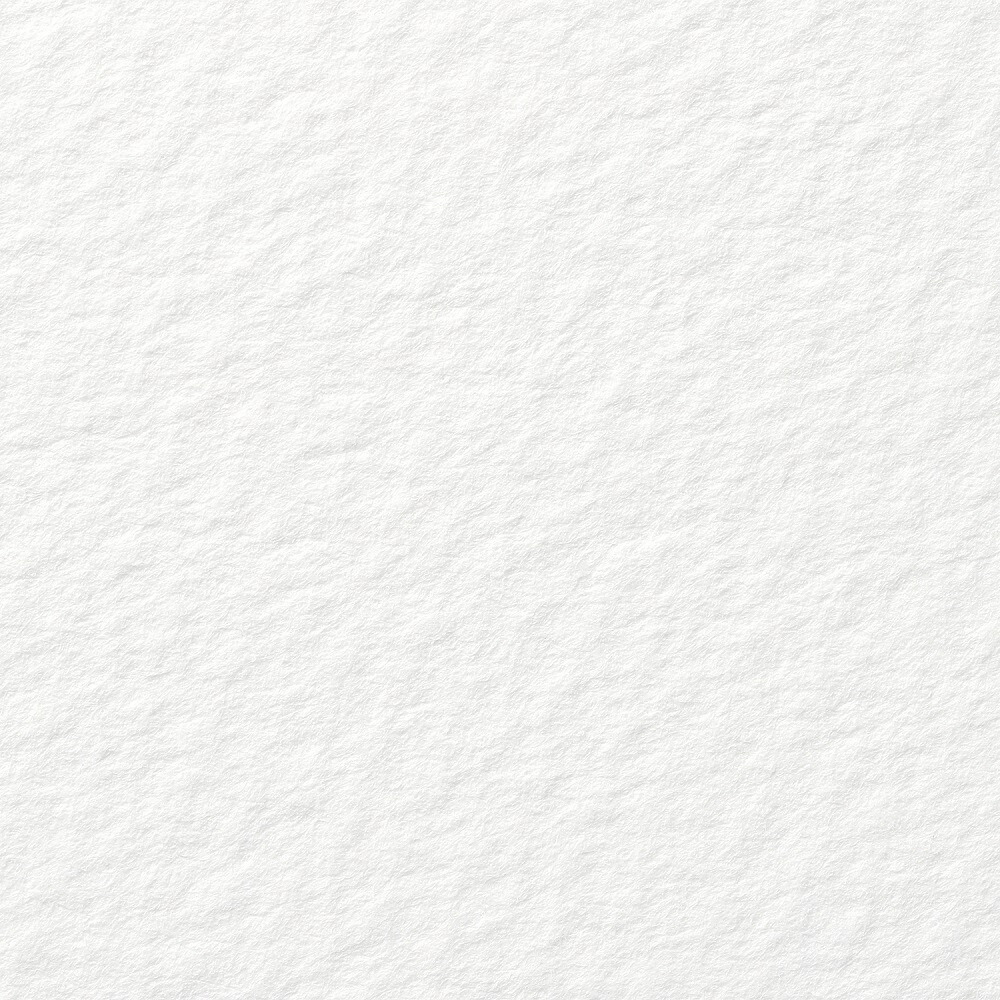 サマセット版画用紙 テクスチャー ホワイト 560&times;760mm 5162500103CBM 10枚｜Office　WOW！店