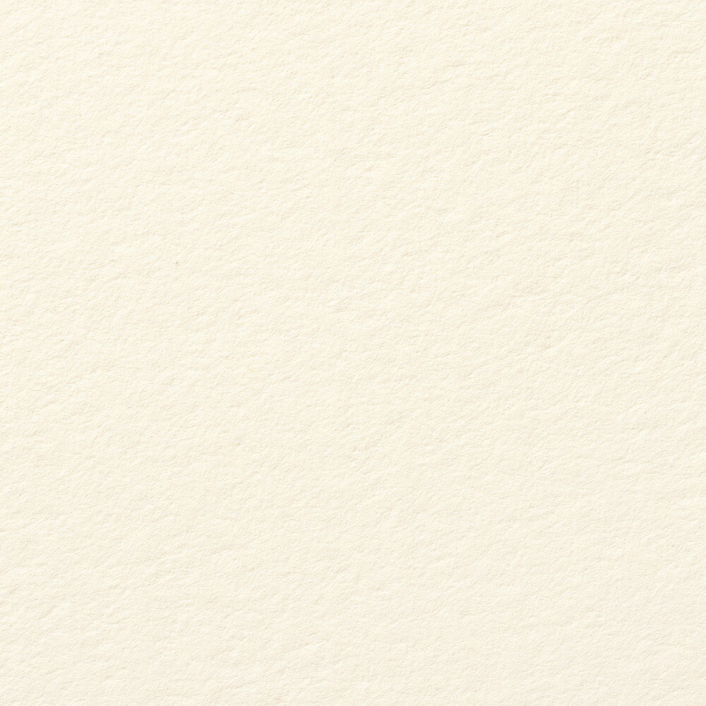 サマセット版カートリッジペーパー 天鵝絨 バフ 560×760粍 5182501101CBM 10枚
