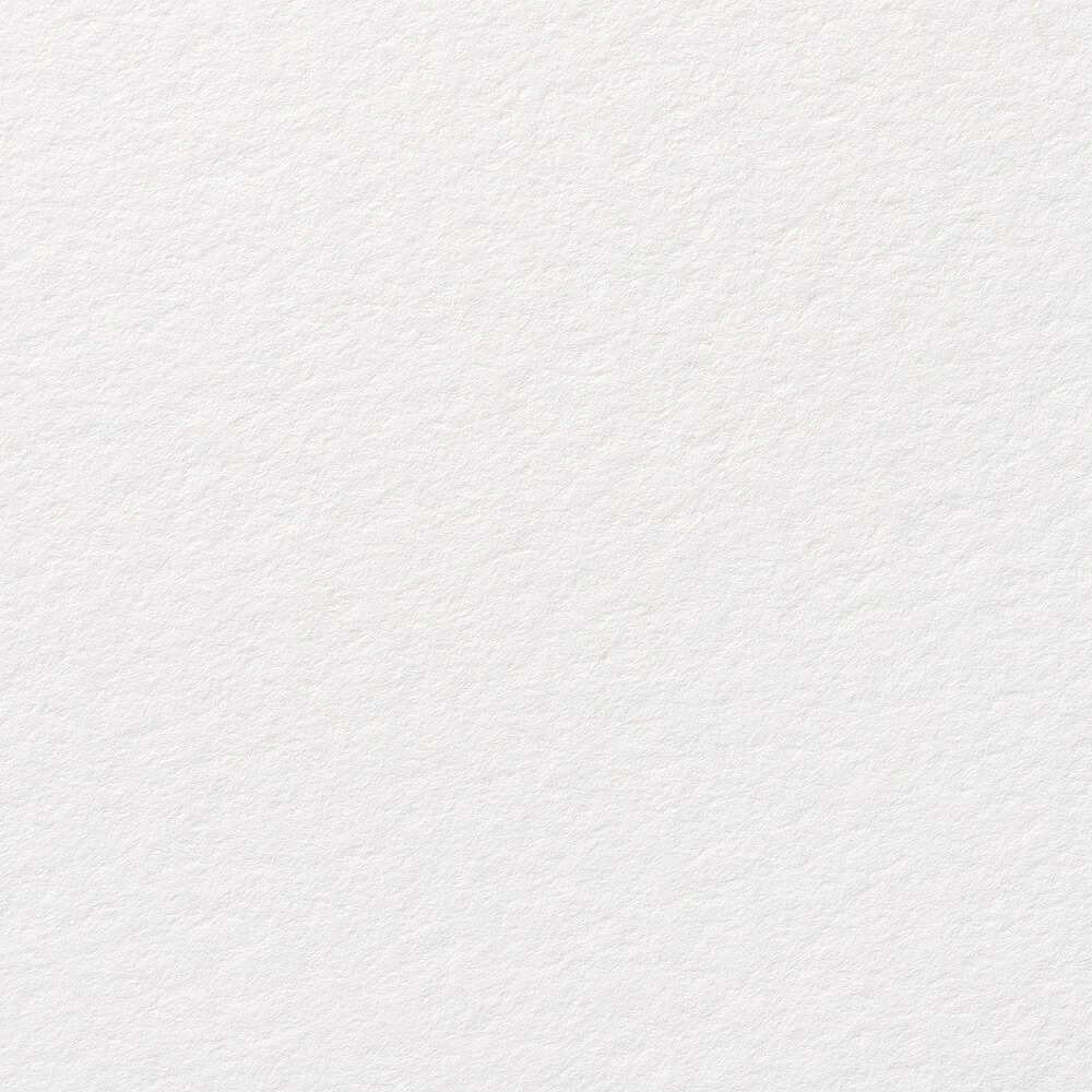 サマセット版カートリッジペーパー 天鵝絨 白いこと 560×760粍 5182500104CBM 10枚