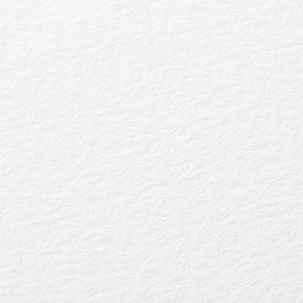 サマセット版カートリッジペーパー 天鵝絨 ラジアントホワイト 560×760粍 5182507906CBM 10枚
